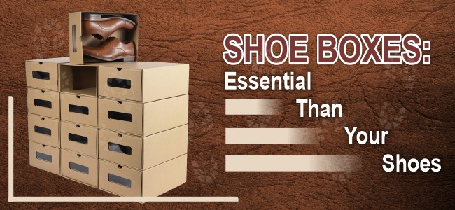 Shoe Boxes Essential Than Your Shoes